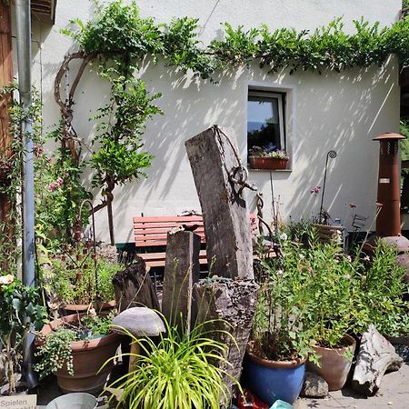 Gartenzimmer Mit Strassenbahn Zu Dom Und Messe 쾰른 외부 사진