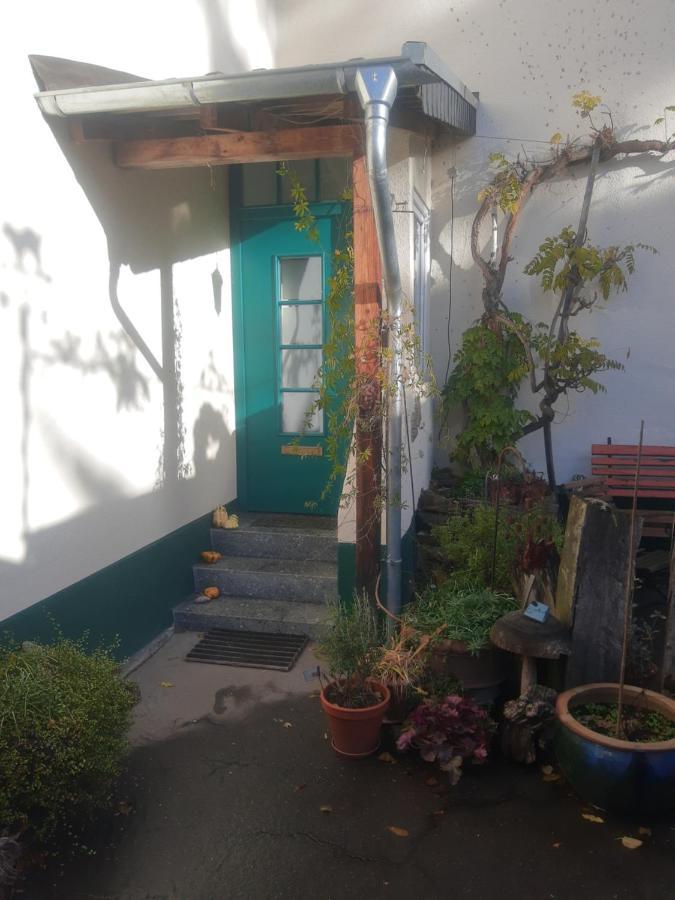 Gartenzimmer Mit Strassenbahn Zu Dom Und Messe 쾰른 외부 사진